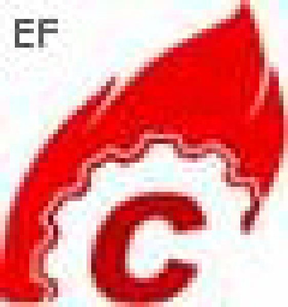 第十屆中國國際水泥技術及裝備展覽會