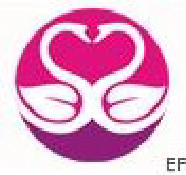 2009(第五屆)深圳國(guó)際婚博會(huì)